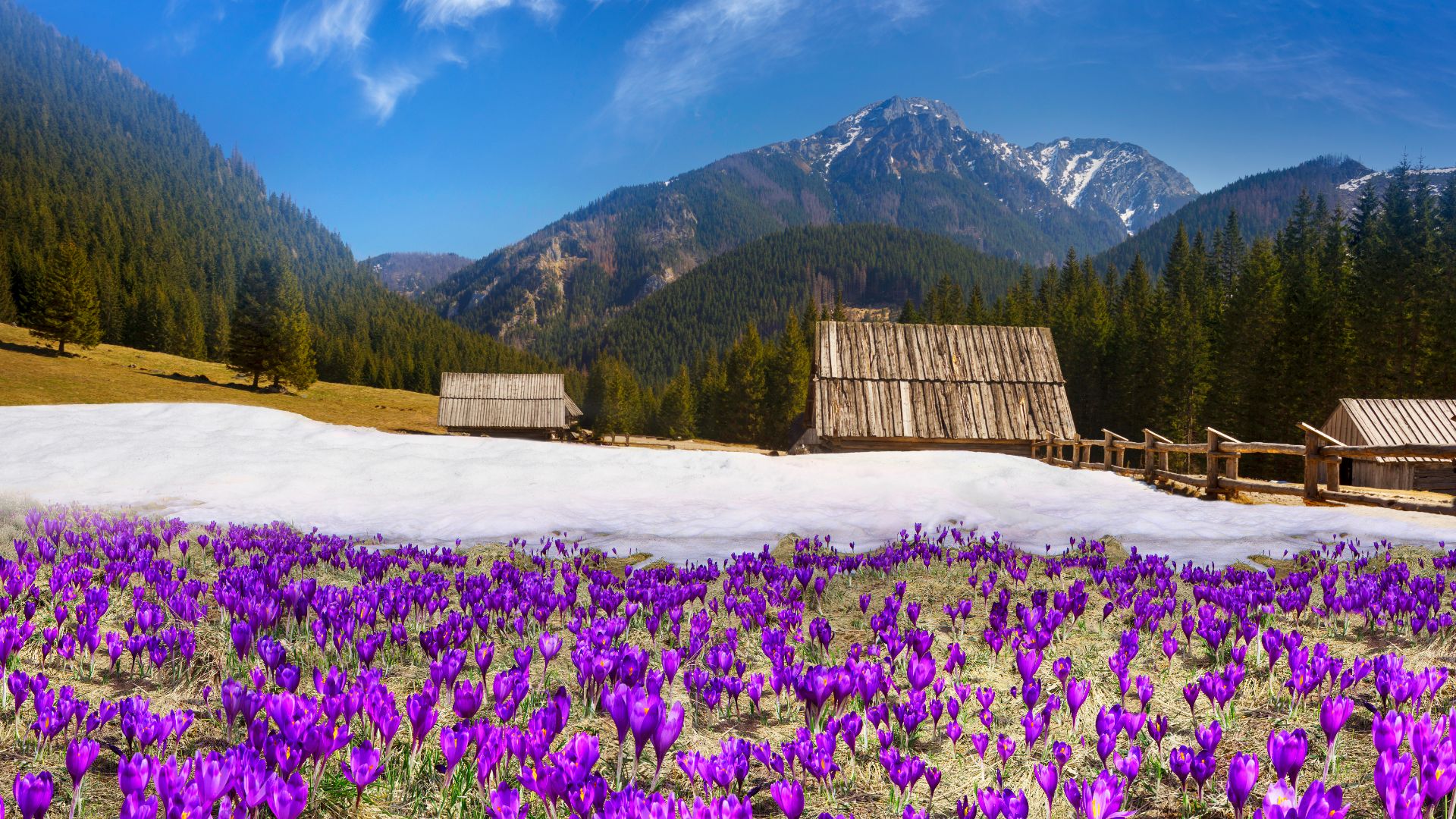 Dolina Chochołowska